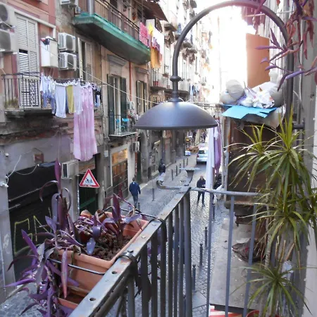 Bed & Breakfast Robby's House Vico Equense