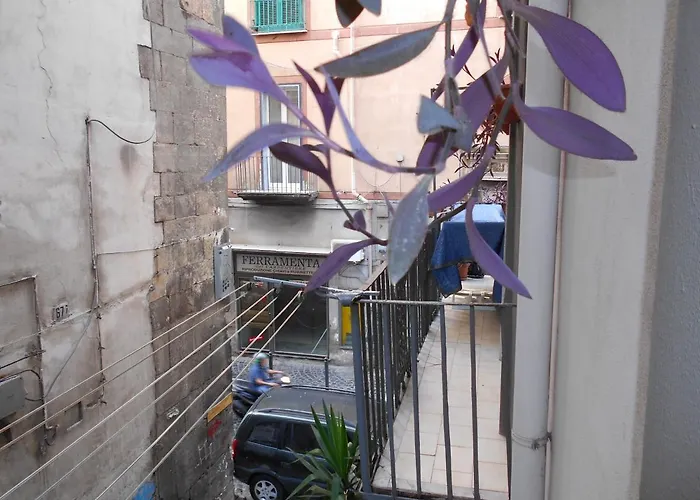 Bed and Breakfast Robby's House Vico Equense