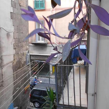 住宿加早餐酒店 Robby's House 维克艾库塞