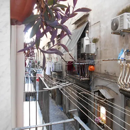 Robby's House 住宿加早餐酒店 维克艾库塞