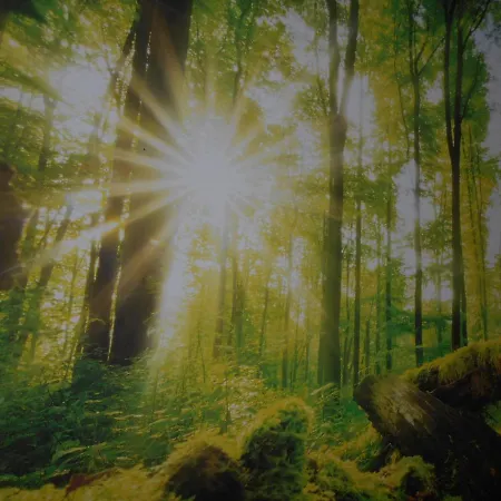 Robby's House 住宿加早餐酒店