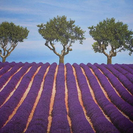 Robby's House 2* 维克艾库塞